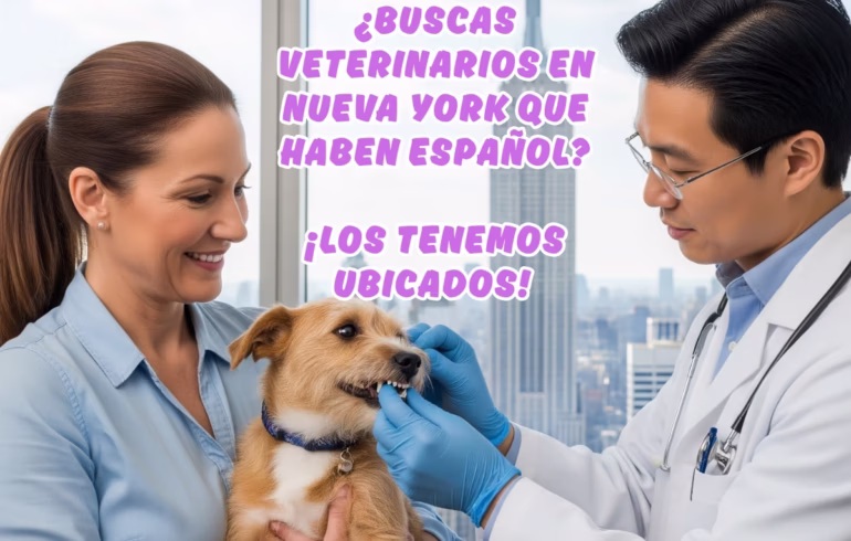 veterinario cerca de mi